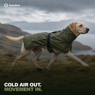 Yellow Labrador striding across open moorland in the rain, the olive coat covering its back and chest.