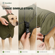 Three steps: slip the coat over the dog's head, buckle it at the belly, then place the rear leg loops.