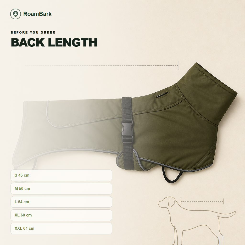 Back-length card for the coat: 46, 50, 54, 60 and 64 cm for sizes S through XXL.