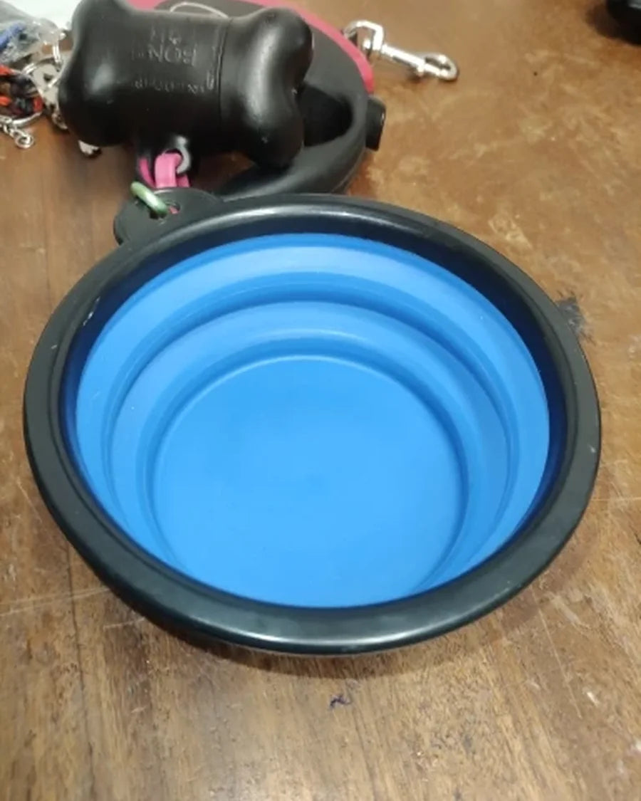 Dog using the Roam Bark collapsible travel bowl during a real-life break