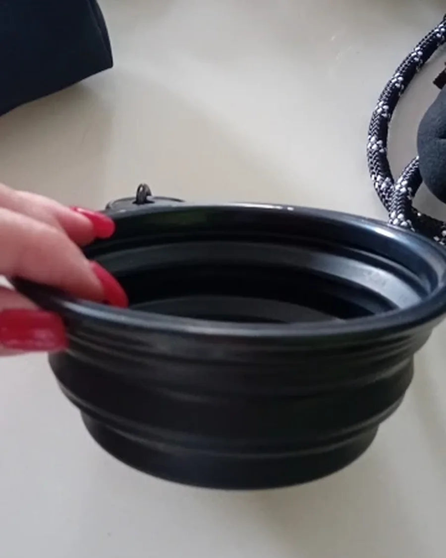 Dog using the Roam Bark collapsible travel bowl during a real-life break