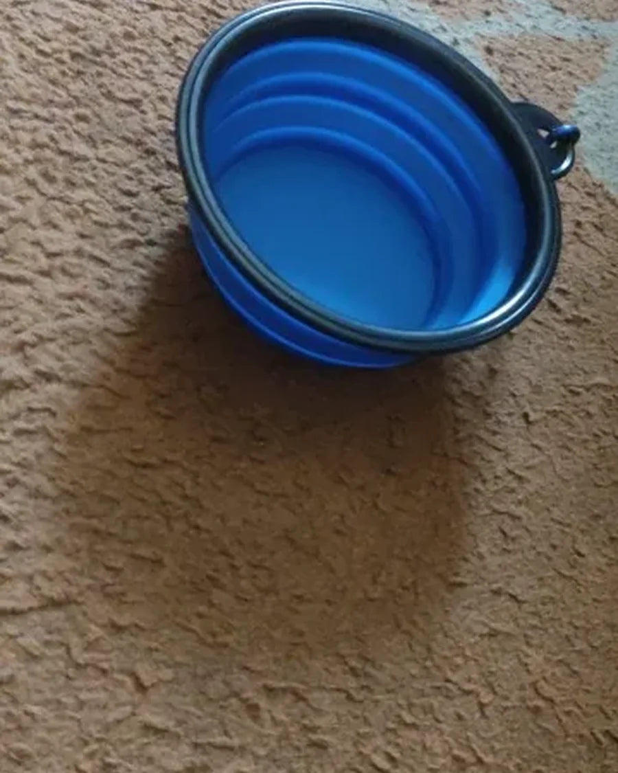 Dog using the Roam Bark collapsible travel bowl during a real-life break