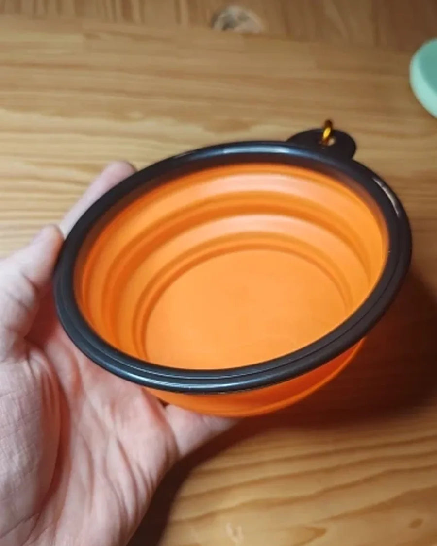 Dog using the Roam Bark collapsible travel bowl during a real-life break