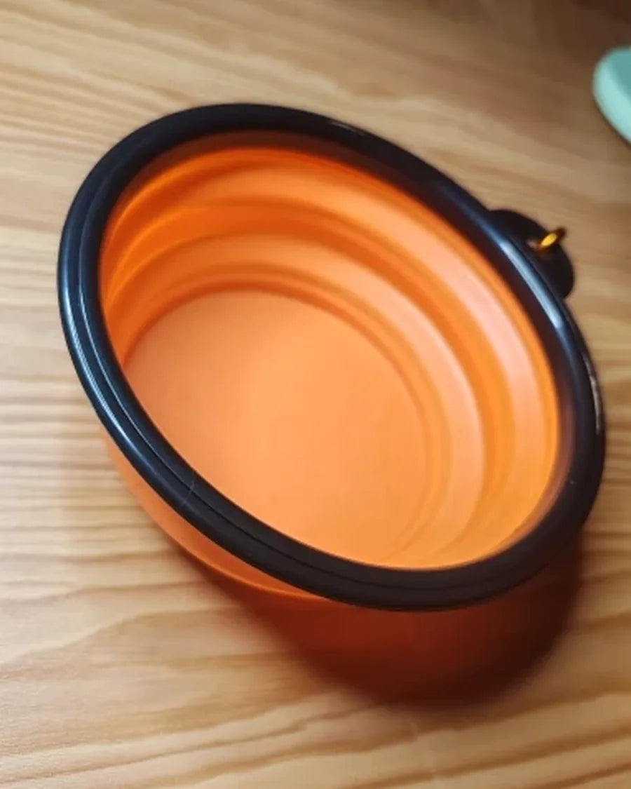 Dog using the Roam Bark collapsible travel bowl during a real-life break