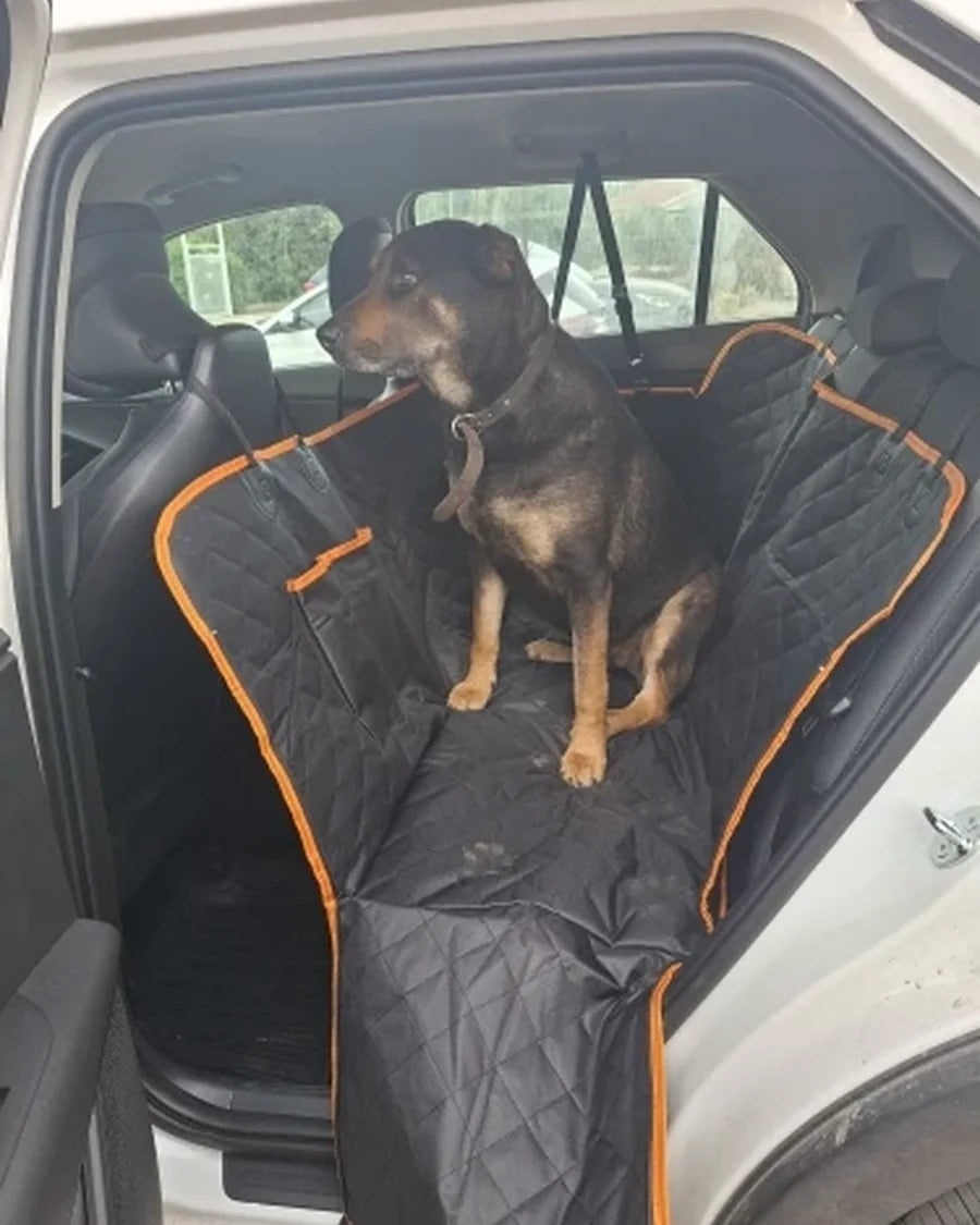 Dog resting on the Roam Bark back-seat hammock during a car journey