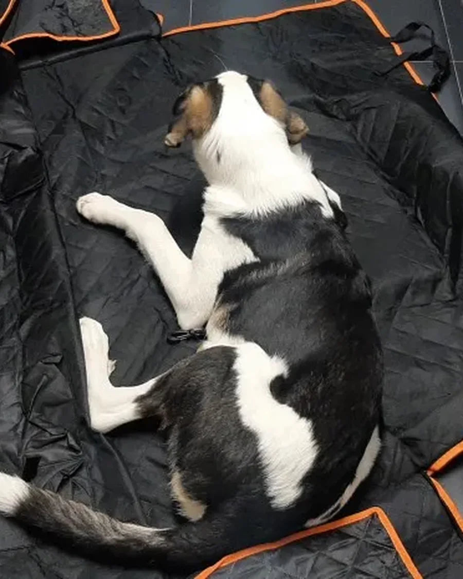 Dog resting on the Roam Bark back-seat hammock during a car journey