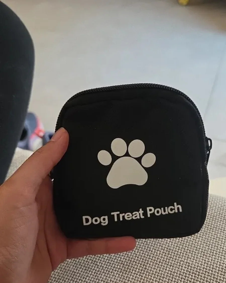 Roam Bark treat pouch clipped close at hand during a dog walk