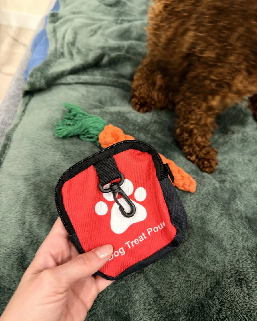 Roam Bark treat pouch clipped close at hand during a dog walk