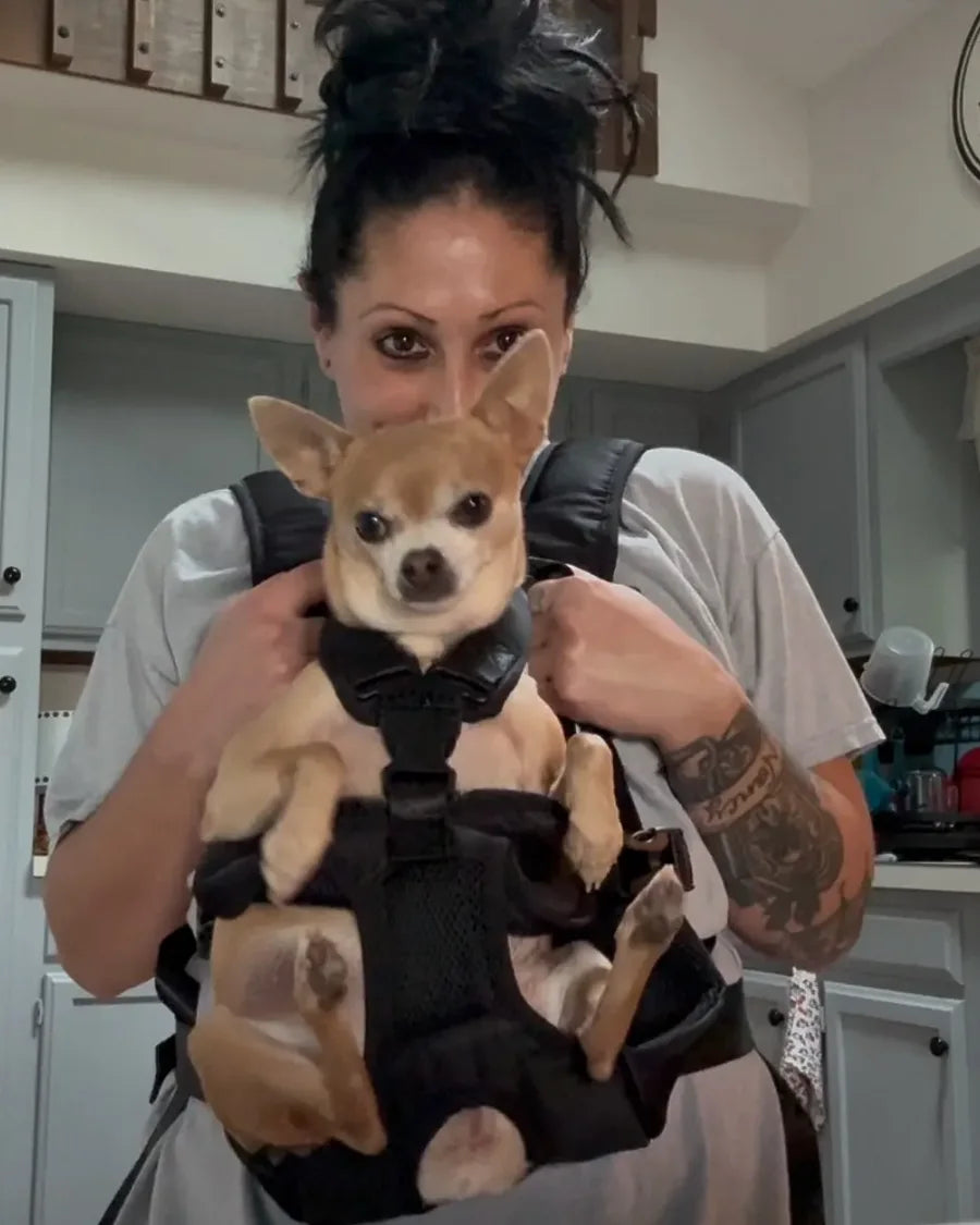 Small dog travelling close to its owner in the Roam Bark front chest carrier