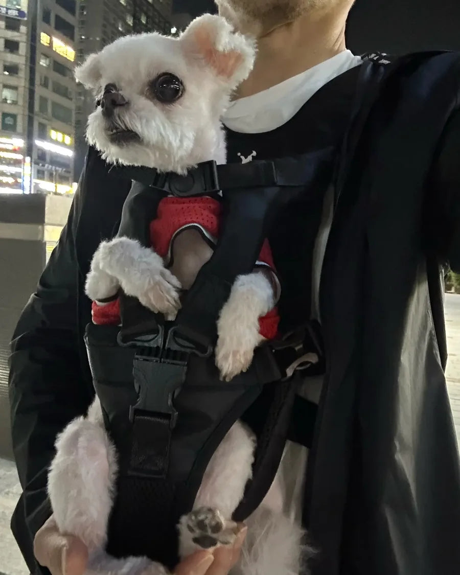 Small dog travelling close to its owner in the Roam Bark front chest carrier