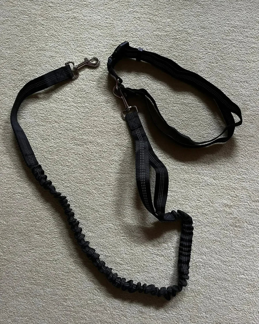Dog and owner moving together with the Roam Bark hands-free running leash