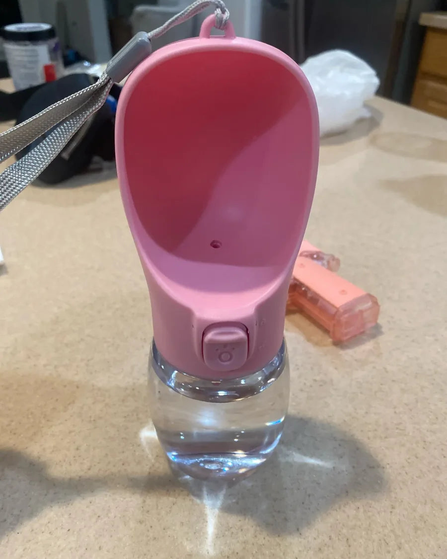 Dog taking a water break from the Roam Bark portable bottle outdoors