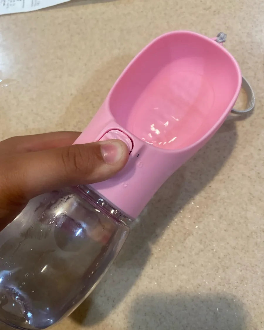 Dog taking a water break from the Roam Bark portable bottle outdoors