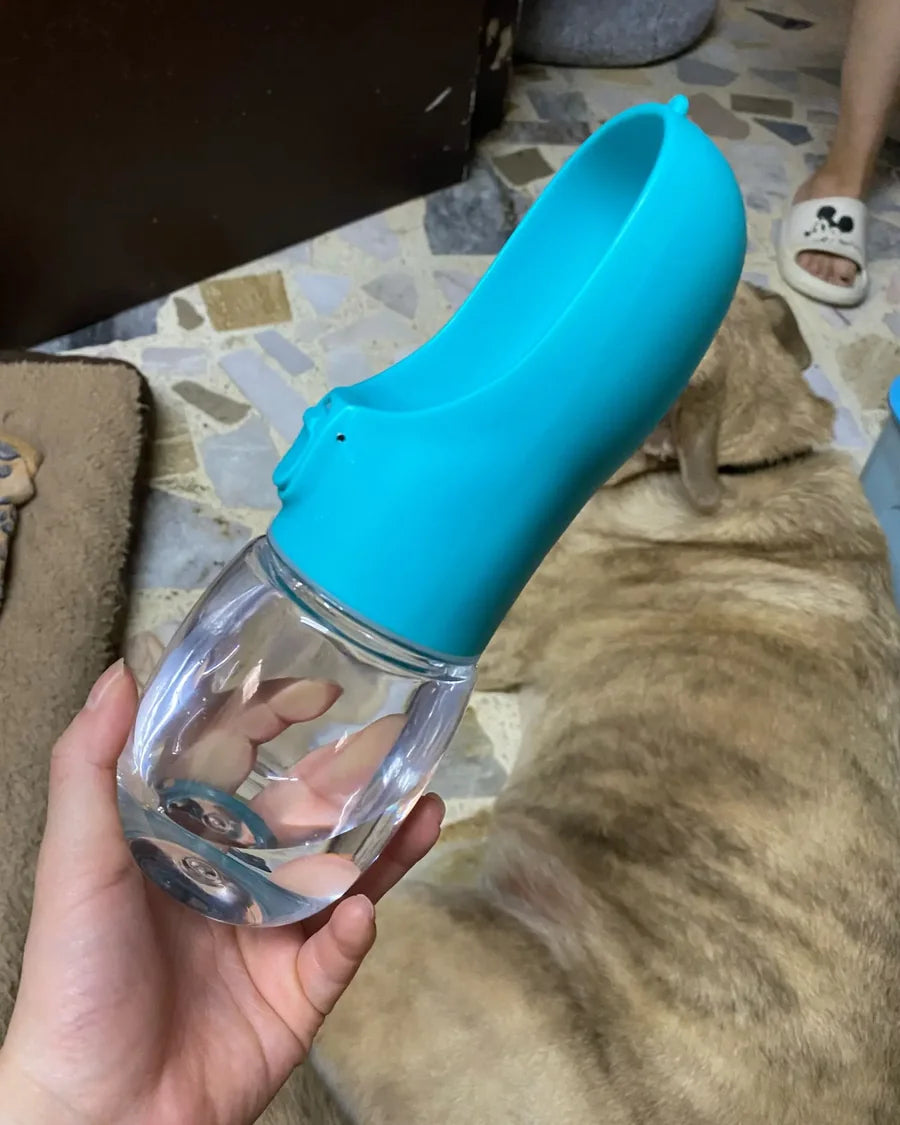 Dog taking a water break from the Roam Bark portable bottle outdoors