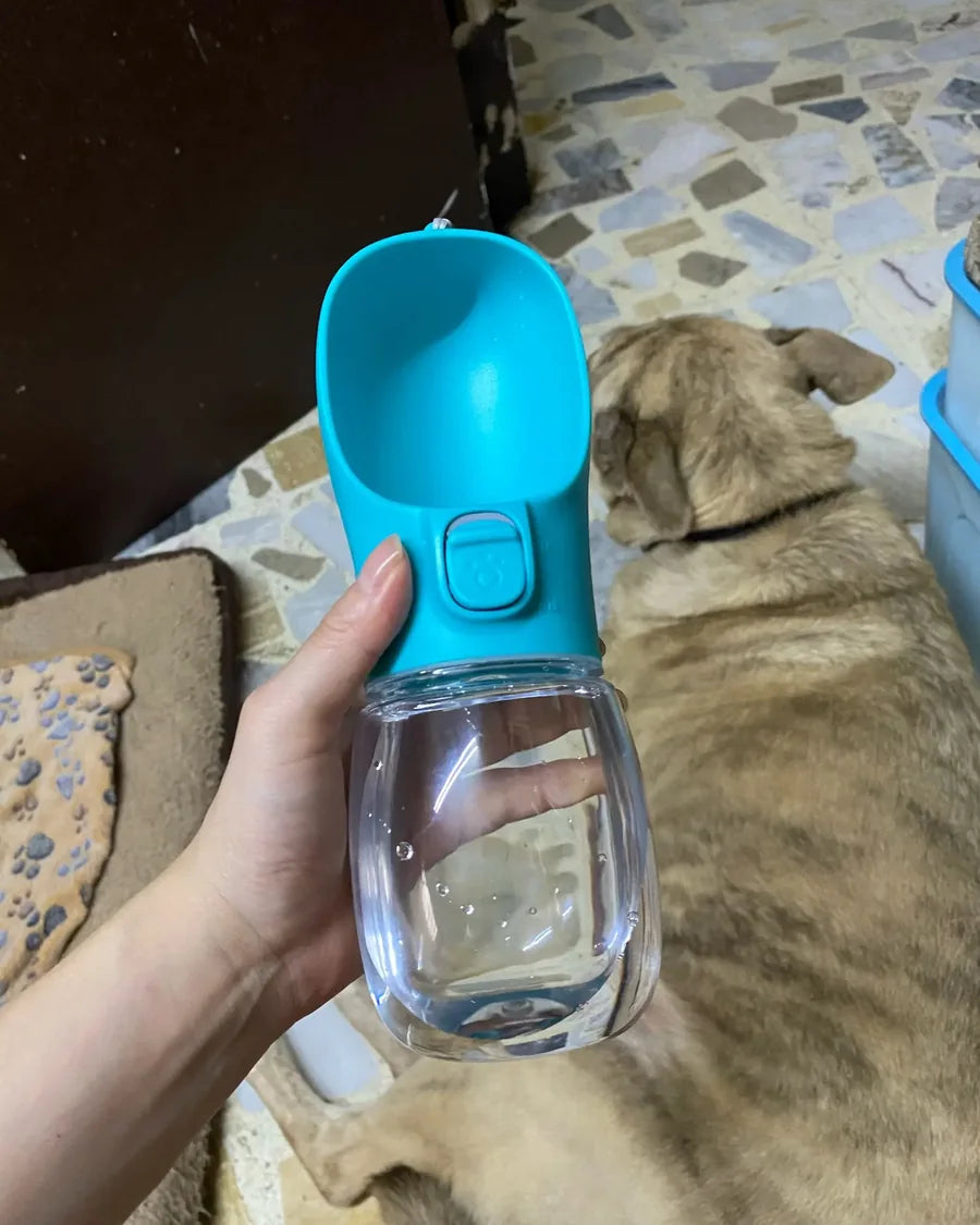 Dog taking a water break from the Roam Bark portable bottle outdoors