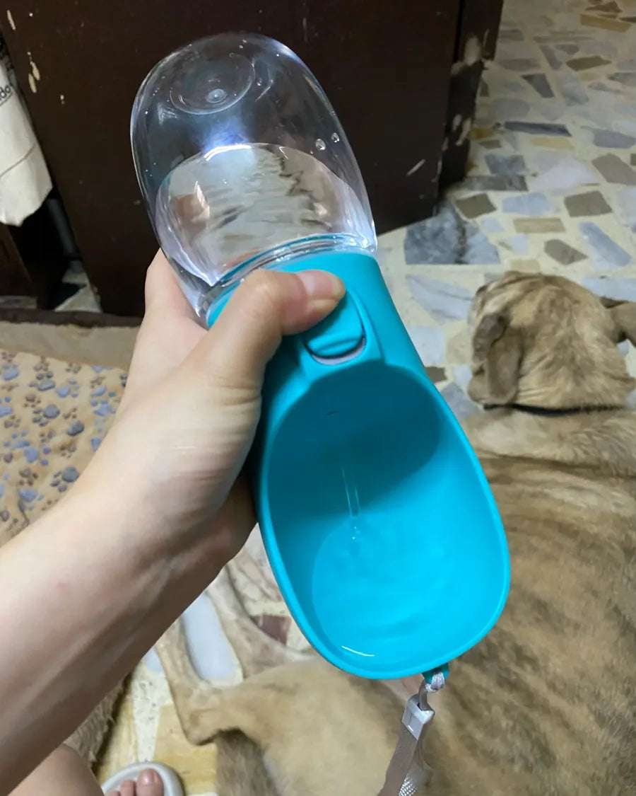 Dog taking a water break from the Roam Bark portable bottle outdoors